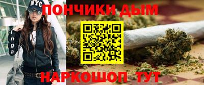 гидра Камышлов