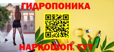 2c-b Канаш