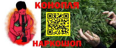 гидра Камышлов